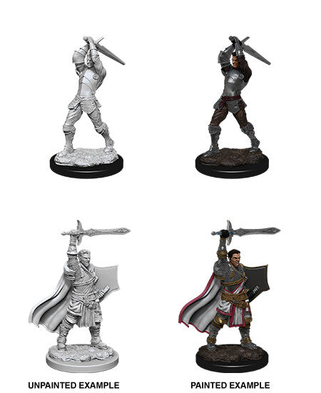 D&D: Nolzur's Marvelous Miniatures - Male Human Paladin (90060)