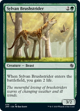 Sylvan Brushstrider (JMP-C)