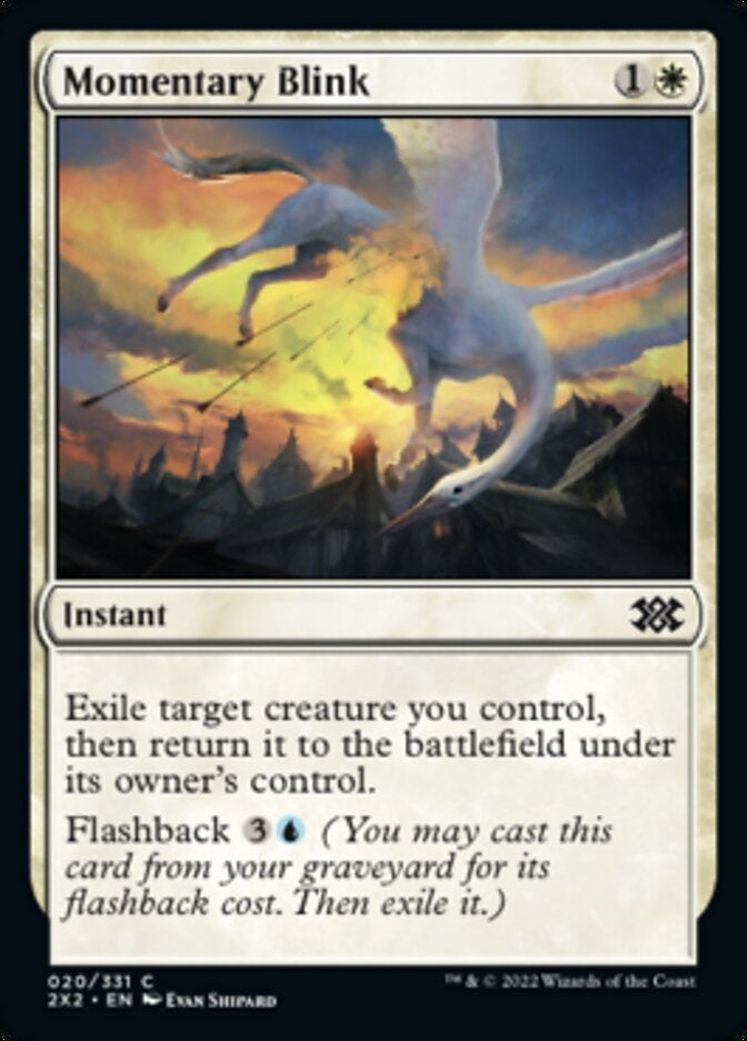 Momentary Blink (2X2-C)
