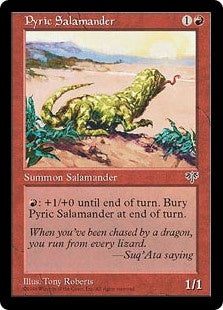Pyric Salamander (MIR-C)