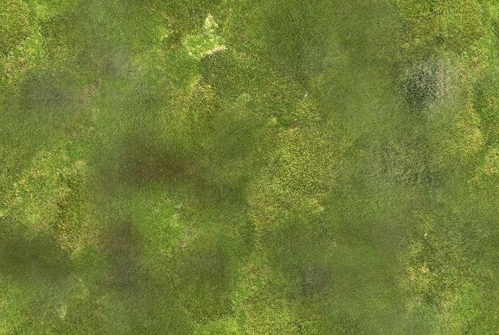 XL Wargame Mat - Grassy Terrain (48' x 72")