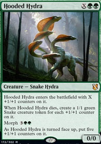 Hooded Hydra (C19-M)