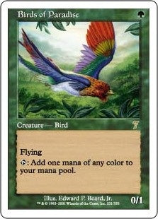 Birds of Paradise (7ED-R)