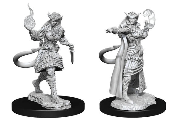 D&D: Nolzur's Marvelous Miniatures - Tiefling Sorcerer Female W15