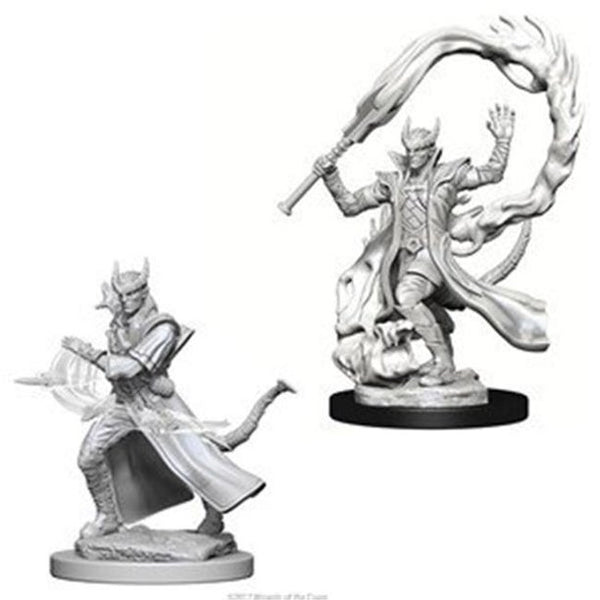 D&D: Nolzur's Marvelous Miniatures - Tiefling Male Sorcerer W4