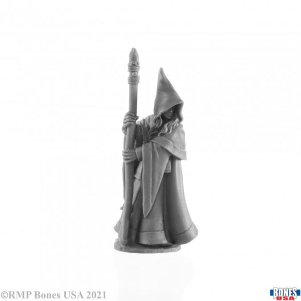 Reaper Legends 30027: Anirion, Elf Wizard