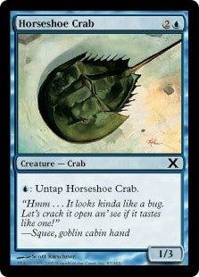 Horseshoe Crab (10E-C)