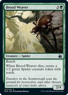 Brood Weaver (MID-U)