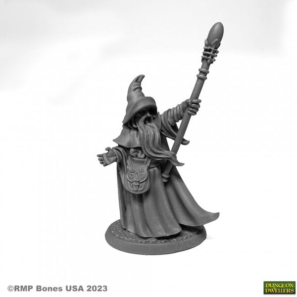 Dungeon Dwellers 07080: Wizard Arakus Landarzad