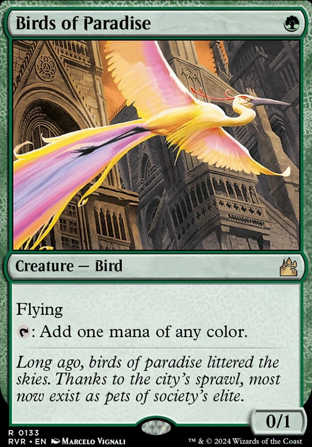 Birds of Paradise [#0133] (RVR-R)