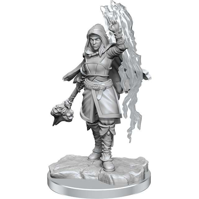 D&D: Nolzur's Marvelous Miniatures - Half-Elf Warlock (90410)