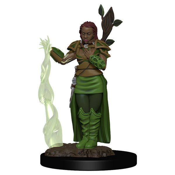 D&D Miniatures: Icons of the Realms - Premium Figure: Wave 02 - Human Female Druid