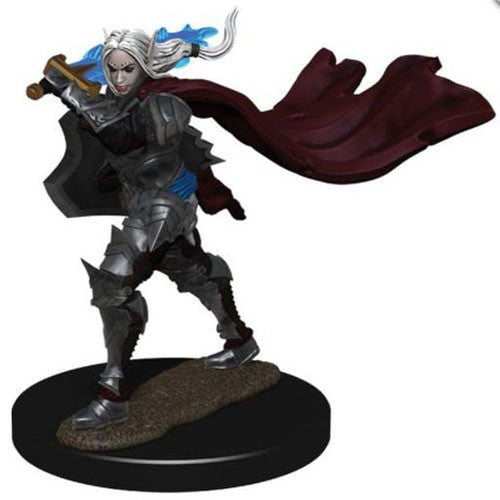 Pathfinder Battles: Premium Figure - Wave 02: Elf Paladin Female