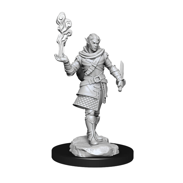 Critical Role: Unpainted Miniatures - Pallid Elf Rogue & Bard Male W1