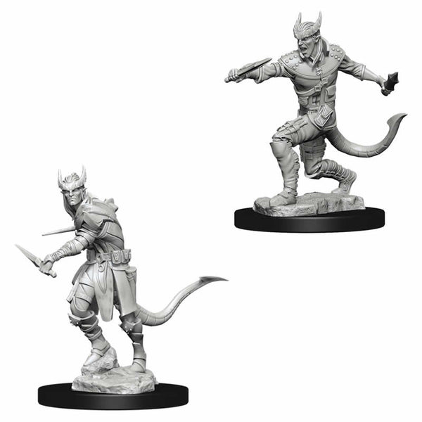 D&D: Nolzur's Marvelous Miniatures - Tiefling Male Rogue W5