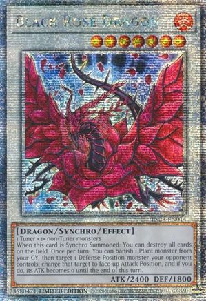 Black Rose Dragon (TN23-EN014) Quarter Century Secret Rare - Near Mint Limited