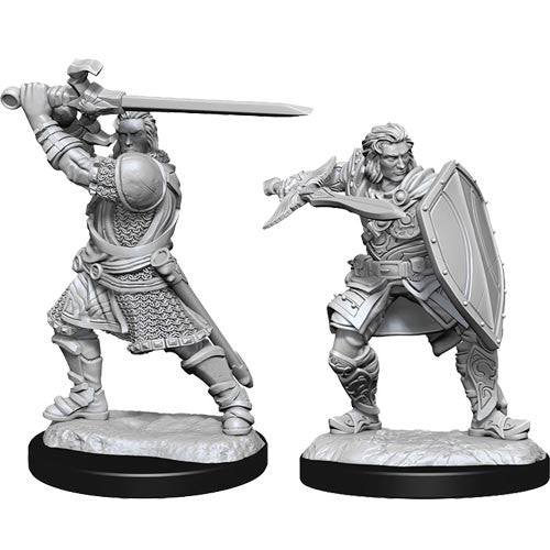 D&D: Nolzur's Marvelous Miniatures - Human Paladin Male W14