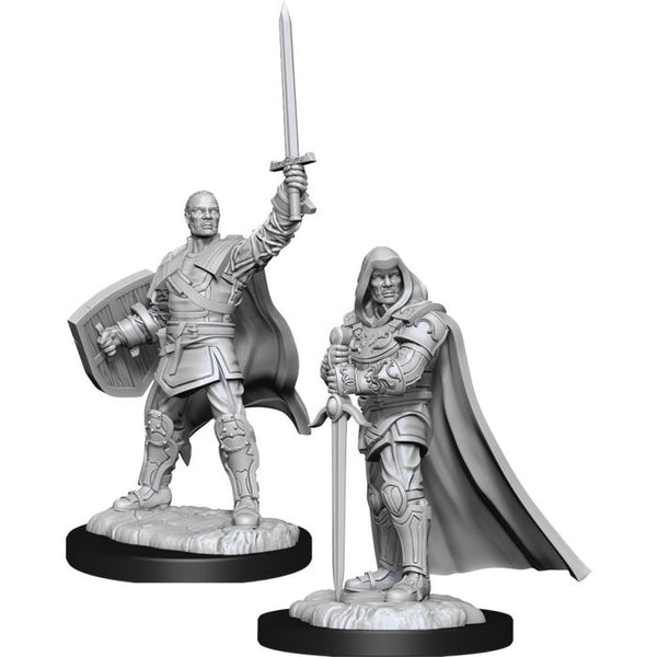 D&D: Nolzur's Marvelous Miniatures - Human Paladin Male W13