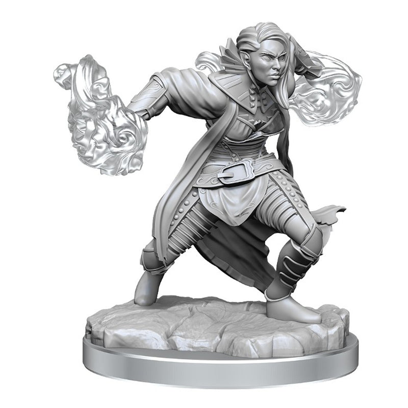 D&D: Nolzur's Marvelous Miniatures - Half-Elf Warlock W20