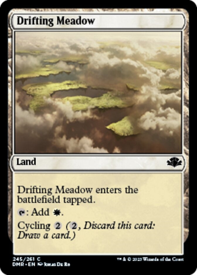 Drifting Meadow (DMR-C)