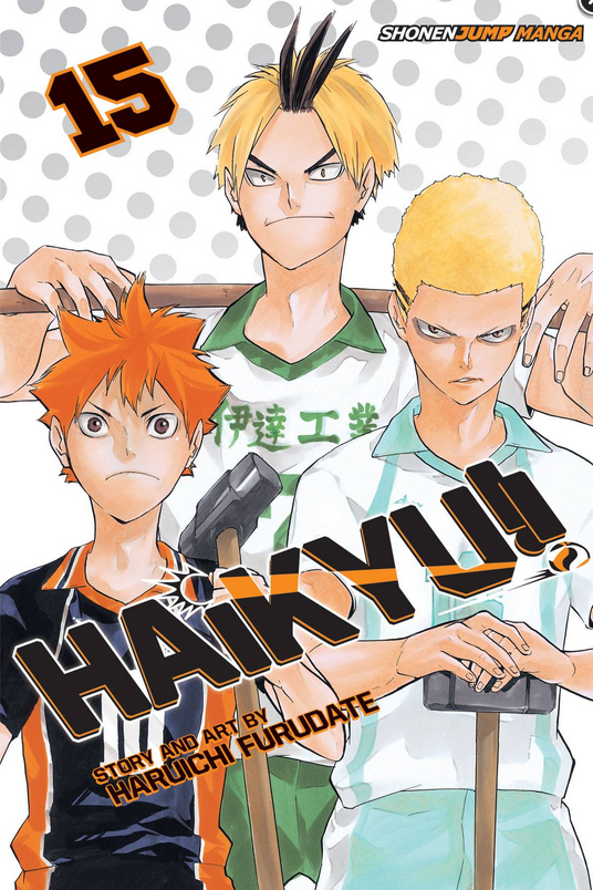 HAIKYU GN VOL 15 (USED)