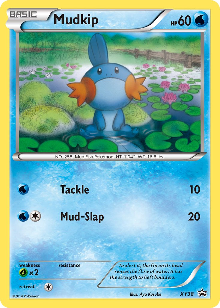 Mudkip - XY38 (XY:PR) Promo - Near Mint Holofoil