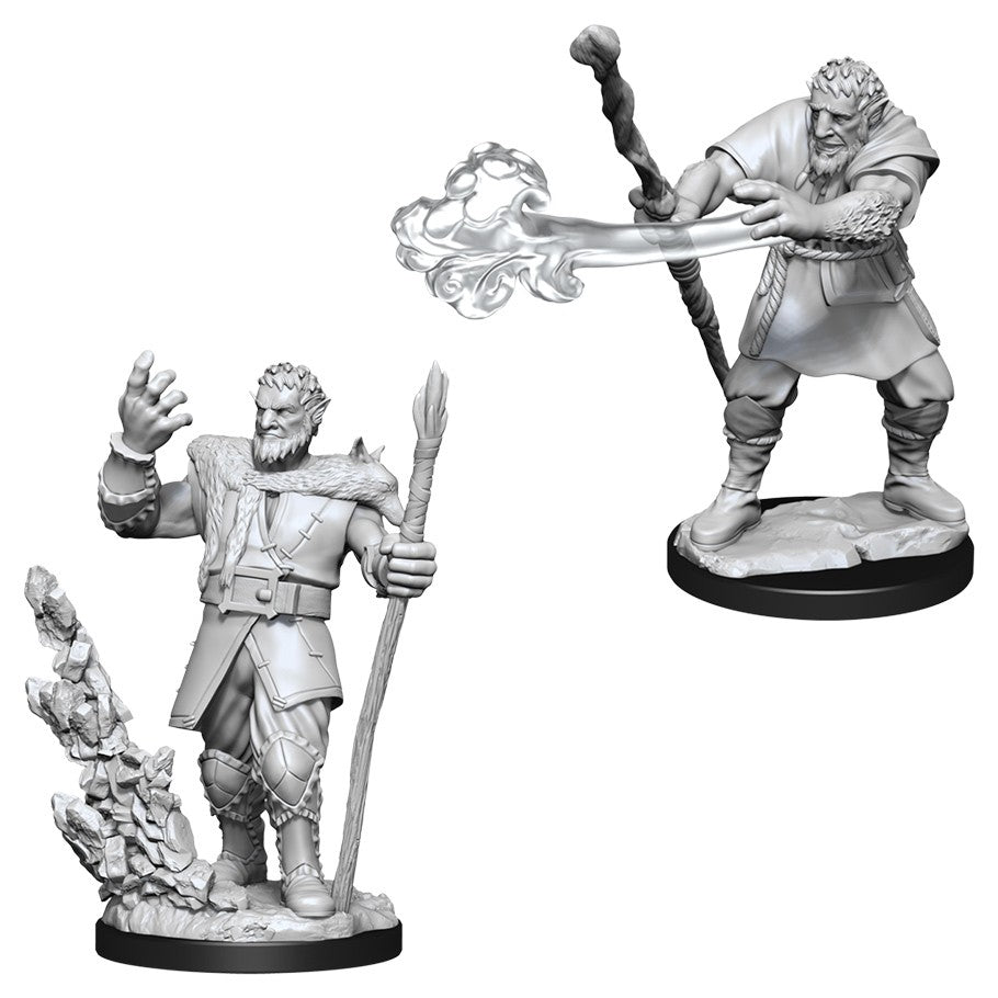 D&D: Nolzur's Marvelous Miniatures - Male Firbolg Druid (90013)