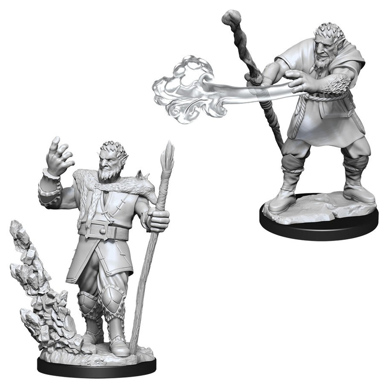 D&D: Nolzur's Marvelous Miniatures - Male Firbolg Druid W11