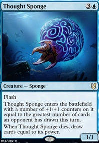 Thought Sponge (C19-R)