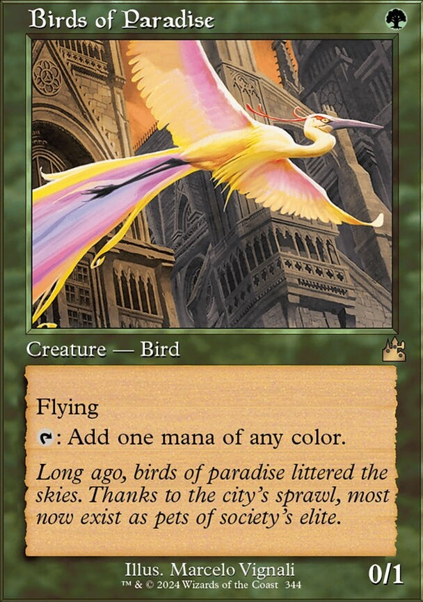 Birds of Paradise [#0344 Retro Frame] (RVR-R)