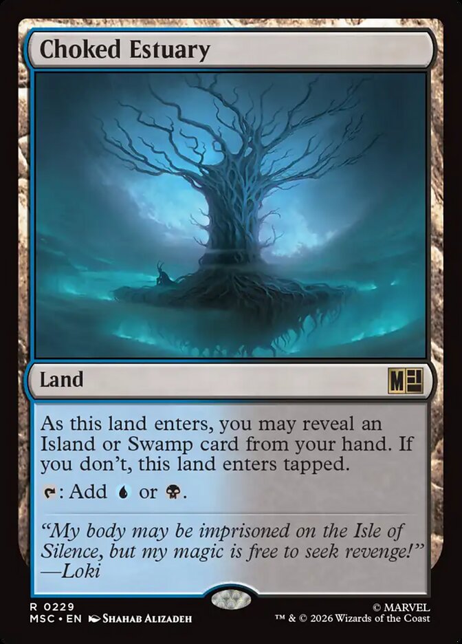 Choked Estuary [ #0229 ] (MSC-R)