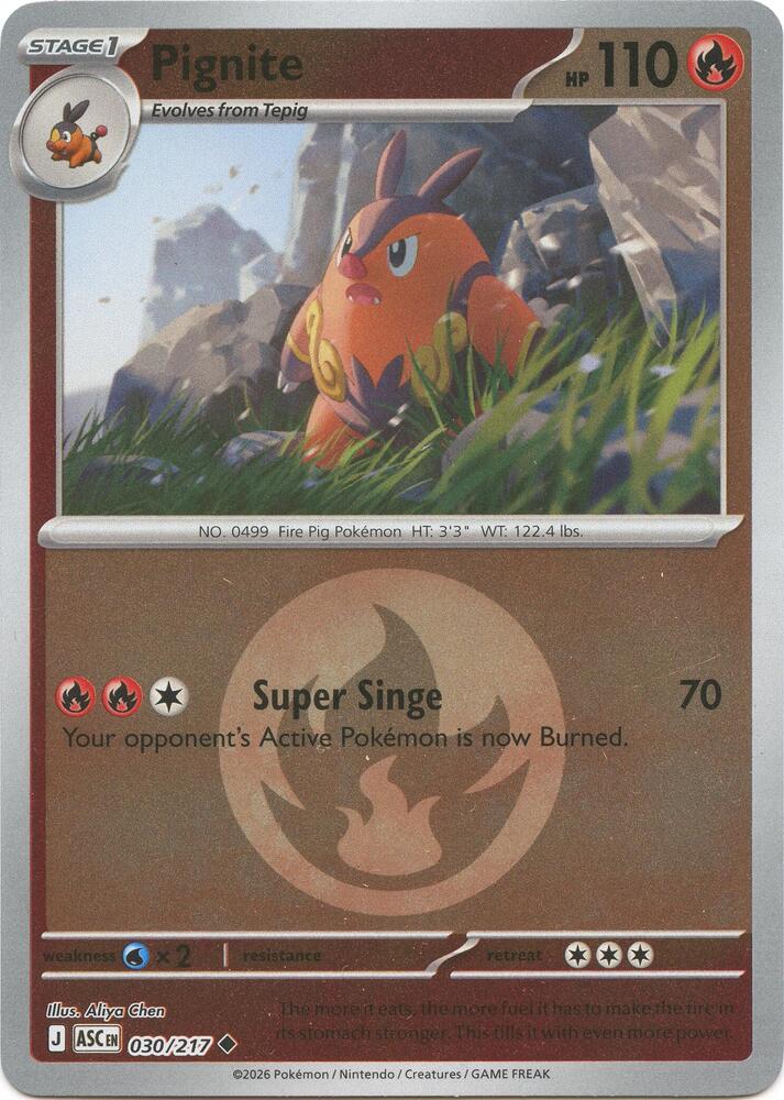 Pignite (Energy Symbol Pattern) - 030/217 (ASC) Uncommon