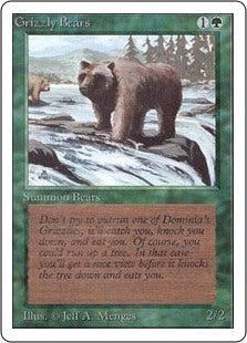 Grizzly Bears (2ED-C)