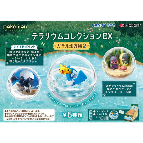 Pokemon Terrarium Collection EX Galar Region 2 Blind Box