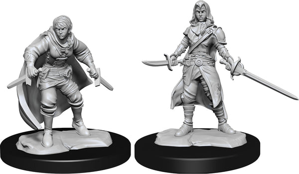 D&D: Nolzur's Marvelous Miniatures - Half-Elf Rogue Female W14