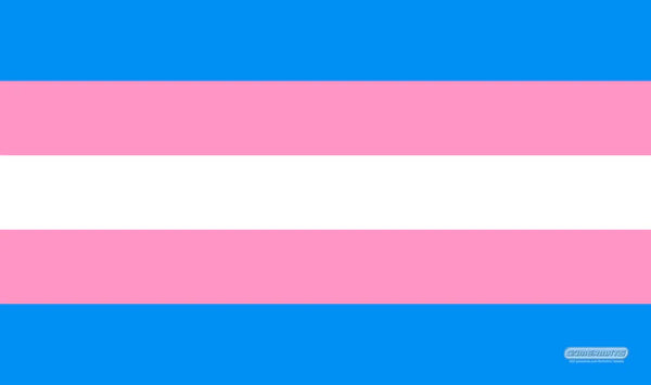 GamerMats: Playmat -Transgender Pride Flag