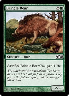 Brindle Boar (M11-C)