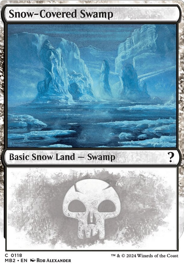 Snow-Covered Swamp [