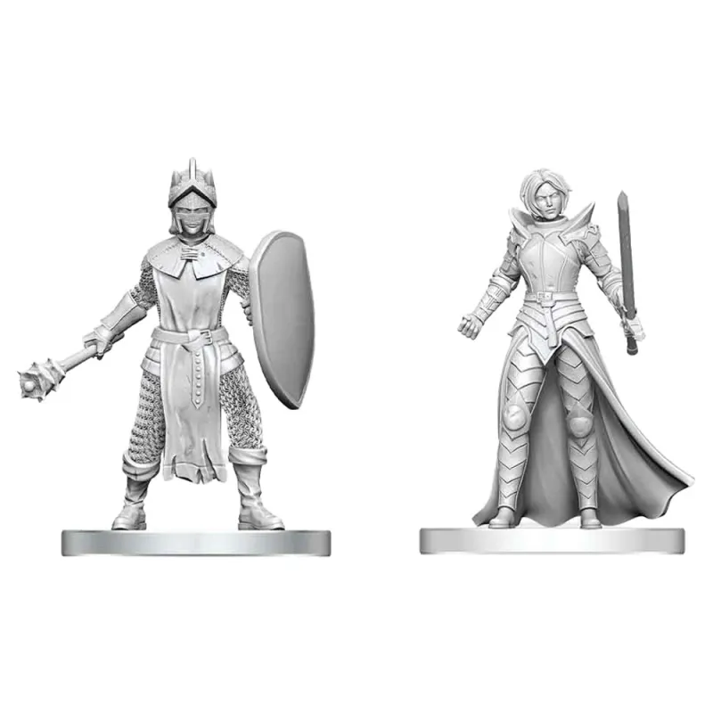 D&D: Nolzur's Marvelous Miniatures - Black Gauntlet & Zhentilar Paladin of Bane (90892)
