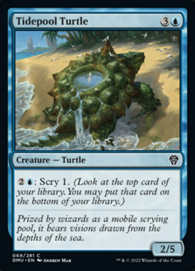 Tidepool Turtle (DMU-C)