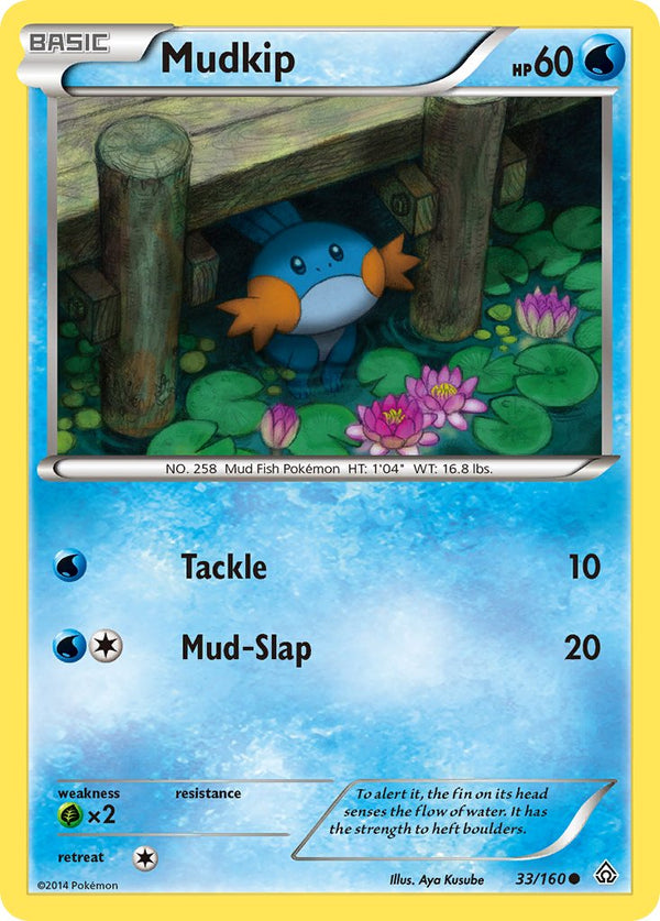 Mudkip - 033/160 (PRC) Common - Near Mint