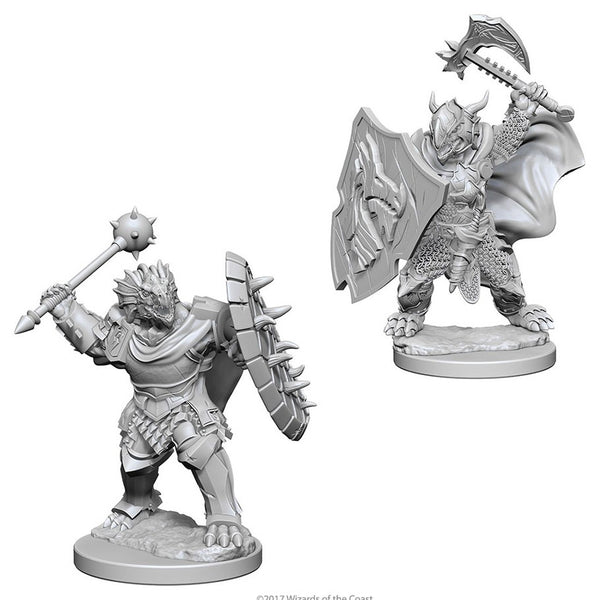 D&D: Nolzur's Marvelous Miniatures - Dragonborn Male Paladin W4