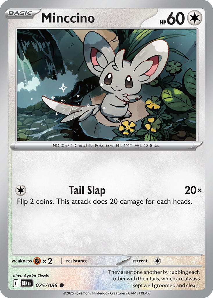 Minccino (Master Ball Pattern) - 075/086 (BLK) Common