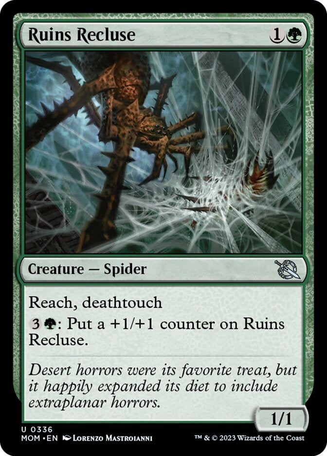 Ruins Recluse [