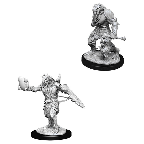 D&D: Nolzur's Marvelous Miniatures - Male Dragonborn Paladin W11