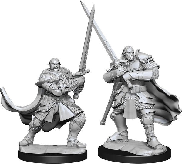 D&D: Nolzur's Marvelous Miniatures - Half-Orc Paladin Male W15