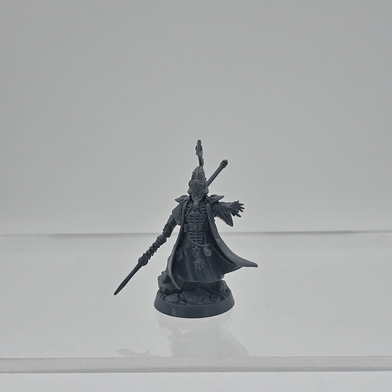 40K: Aeldari - Farseer (USED) [Lot