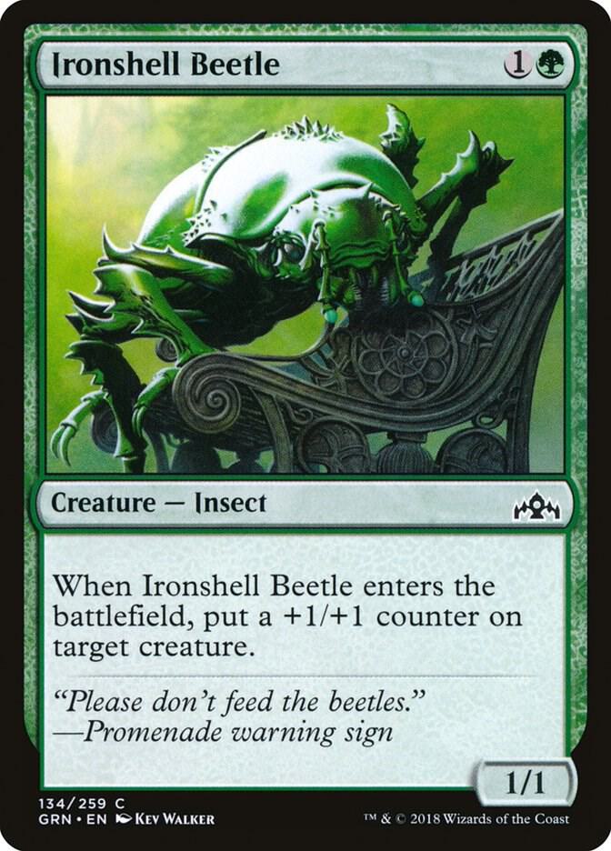 Ironshell Beetle (GRN-C)