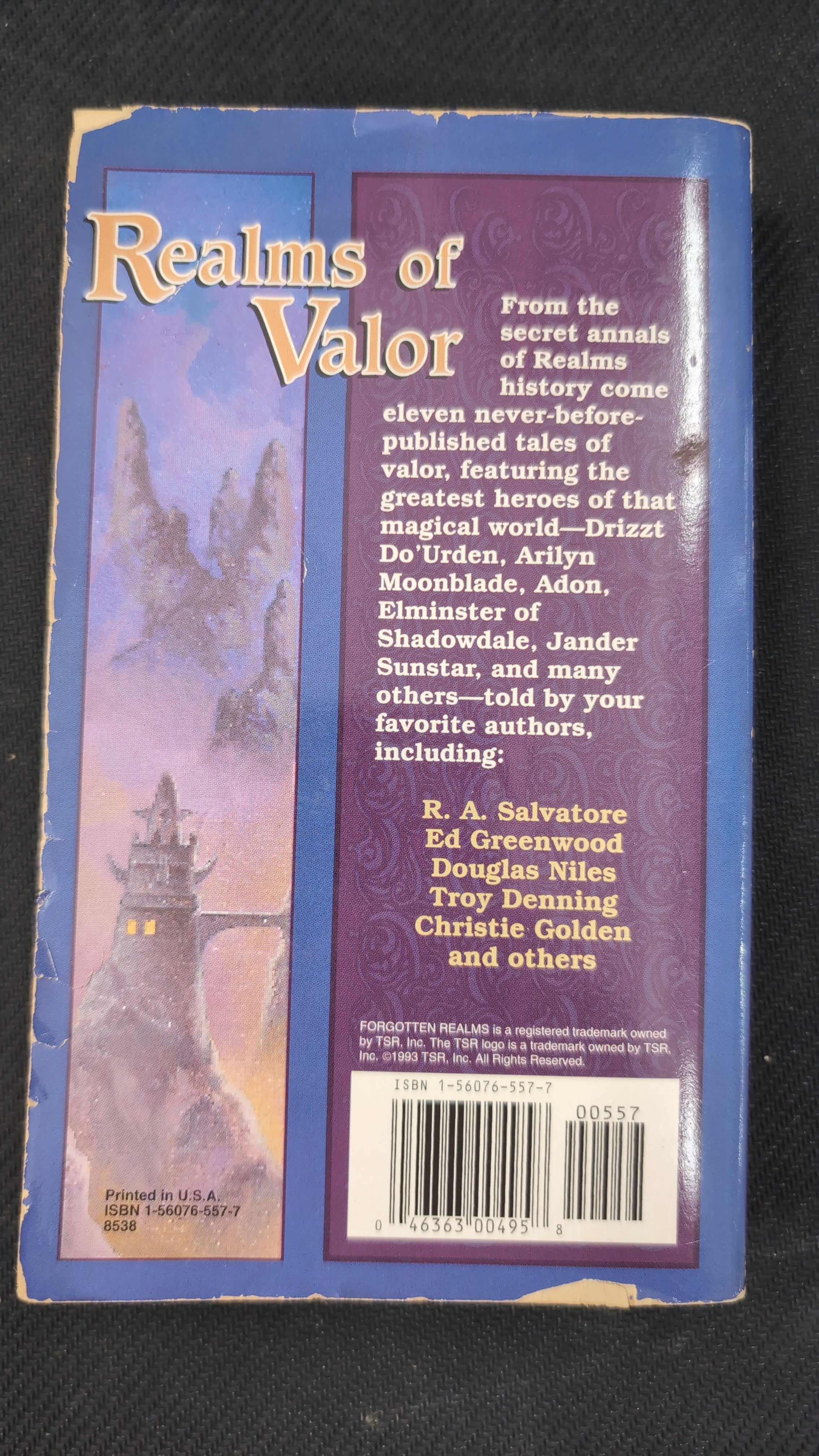 Forgotten Realms: Realms of Valor [ Paperback ] (USED)