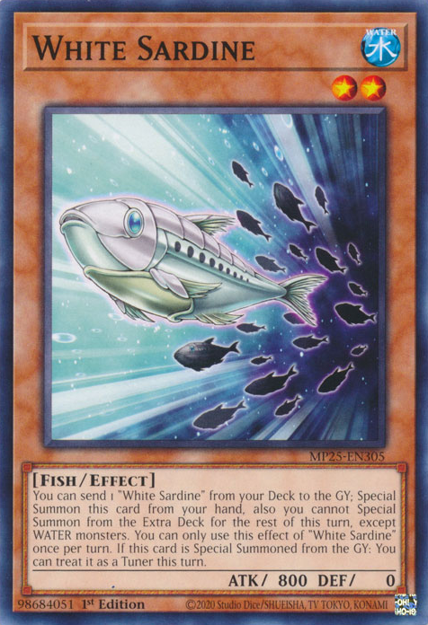 White Sardine (MP25-EN305)